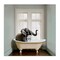 Stupell Industries Minimal Elephant Bathtime Canvas, design by Sasha